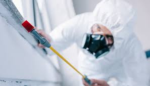 Emergency Pest Control in Mckee City, NJ